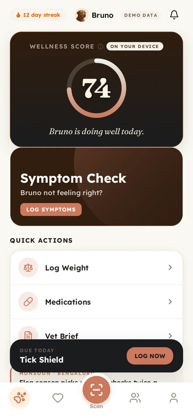 PawVeda running on a device: a wellness score of 74 for Bruno marked ON YOUR DEVICE, a symptom check, and quick actions for weight, medication and a vet brief. A DEMO DATA chip labels the sample content.